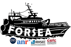 Logo ANR FORSEA